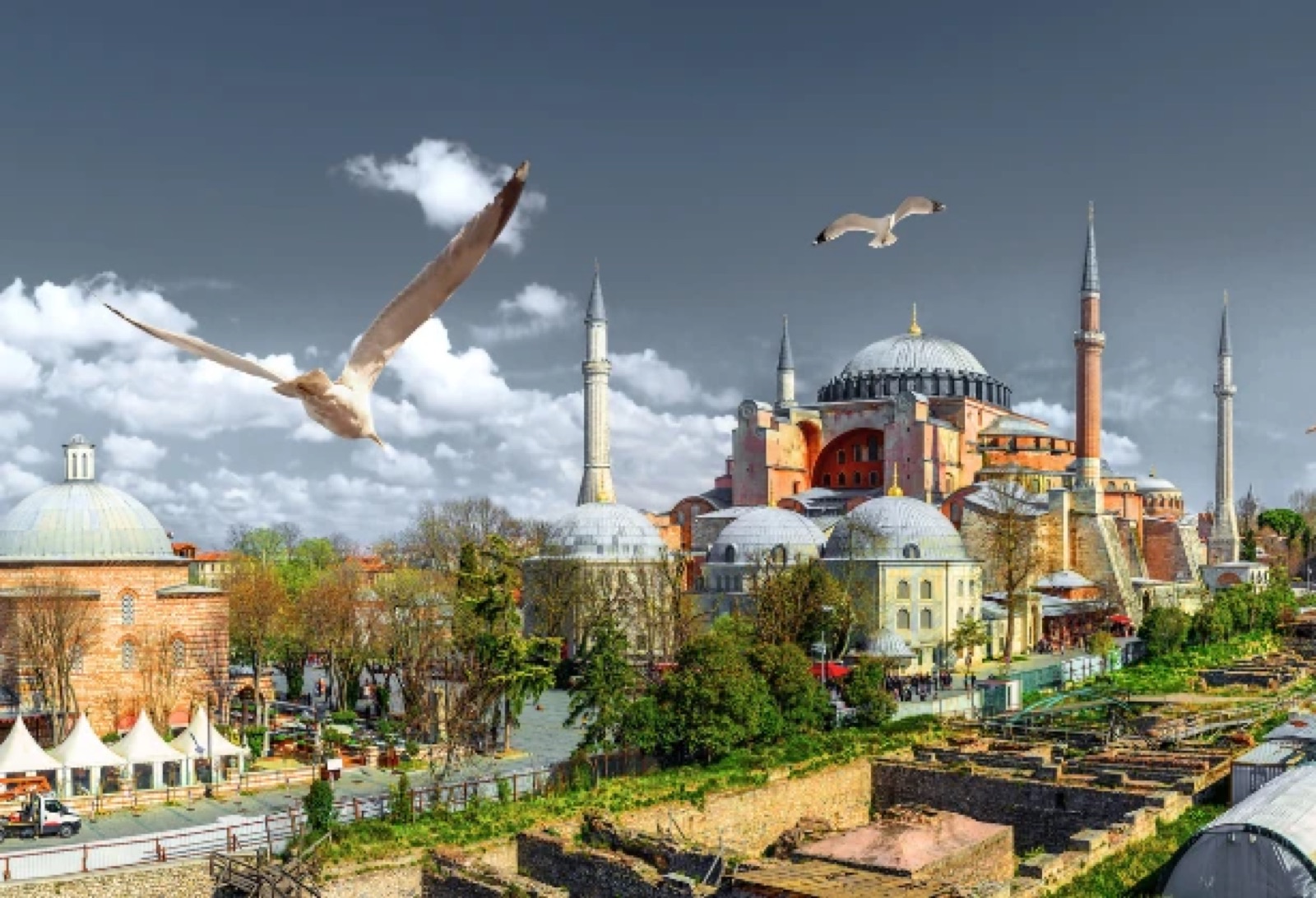 Hair Transplant Istanbul — Complete Travel & Medical Guide 2026